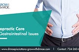 Chiropractic Care For Gastrointestinal Issues