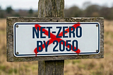 It is time to eliminate corporate net-zero goals