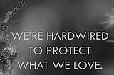 We Protect What We Love