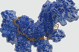Interview with Data Zealot and Biohacker, Dr. Erwin Graham