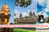 Take Your Pets Tour Around Cambodia with Tap Taxi