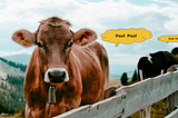 The Paradox of Methane Emissions: The Low Hanging Fruit in the Battle to Reverse Climate Change