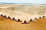 A swarm of tractors glean a field of wheat.