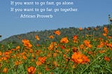 African proverb. Go fast alone. Go far together.