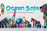 $BEACH PARTNERS WITH OCEAN SOLE