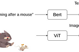 Text and Image Embeddings in Transformers