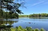 Mountain Biking in the McDonough State Forest (NY)-Episode 12 of Leaf, Wing, and Sun