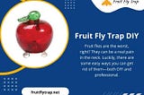 Fruit Fly Trap DIY
