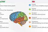 Traumatic Brain Injury Case Study