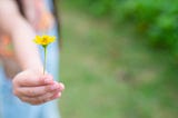 A person holds up a flower.