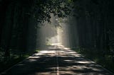 A photograph of an old road with shadowy trees on either side. Sunlight is poking through the trees at the end of the road.