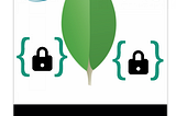 MongoDB Client Side Field Level Encryption using Java-Spring: Part 2 Community Edition (Manual…