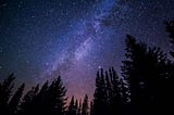 A blue-purple sky covered in stars. A dark treeline is at the bottom of the picture.