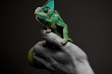 Kamau the Chameleonaire.