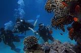 Benefits of Scuba Diving