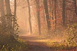 4 Unexpected Benefits of Running