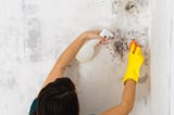 Secrets to Know About Mold Inspection and Specialists in Los Angeles