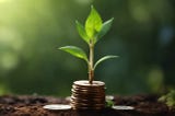 Easy rules that ensure your financial project will be richly profitable