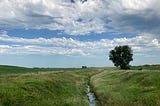 Producers’ work with Martin SWCD targets Fairmont drinking water supply