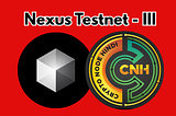 Nexus Testnet-3 Prover Node Guide