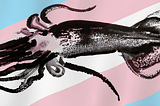 Drawing of a squid over a trans flag.