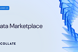 Collate Data Marketplace for Data Access Without the Wait