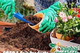 What Is Coco Peat: Learn About Planting In Coco Peat Media