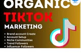 I will create a verified tiktok agency account, tiktok ads account audience targeting