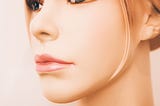 Sex Robots