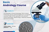 Andrology Online Courses: The Roadmap Ahead