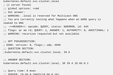 Kubernetes DNS caching gone wrong