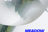 Signal Festival в партнерстве с цифровой экосистемой MTC представляет программу сцены Meadow.