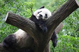 Slack Fatigue — my experiences & experiments