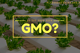 Do you Know Your GMO?