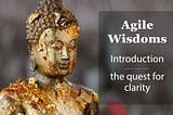 Agile wisdoms: Introduction — the quest for clarity