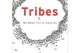 Lessons from Tribes by Seth Godin