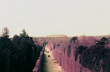 Violet in the Gardens of Versailles