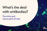 What’s the deal with antibodies?