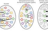 Sections and Retractions