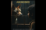 Wildhood Awakened — A charming story of a child in the wild