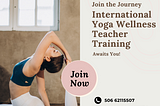 International Yoga Wellness Teacher Training