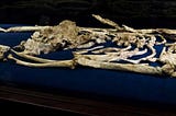 Will the “most complete skeleton ever” transform human origins?