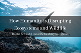 How Humanity is Disrupting Ecosystems and Wildlife