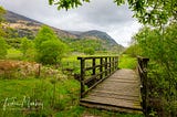 A Stroll Through Hafod Eryri