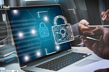 Website Security Best Practices with IT Nut Hosting