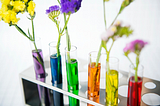 STEM Blossoms at Spring Science Fairs