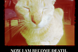 purrfect