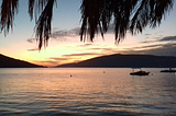 Palm trees over the bay at sunset.