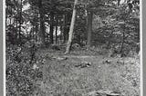 Picture of alleged “Confederate dead on Matthews Hill, Bull Run” photo by Matthew Brady.