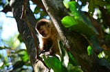 Eco Park Porto da Ilha — Bonito, MS